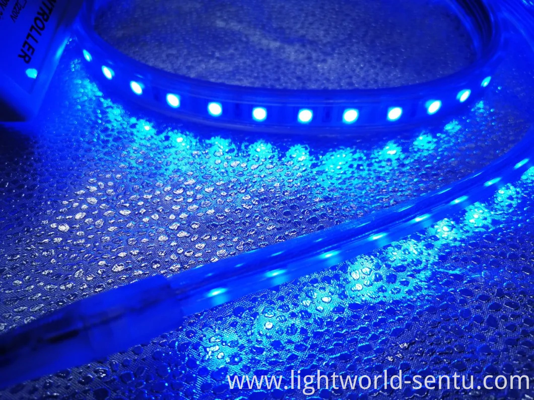 High Quality SMD5050 Christmas RGB Color LED Strip